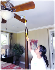 Cleaning ceiling fan Cleaning ceiling fan