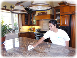 Sparkling Clean Kitchen Sparkling Clean Kitchen